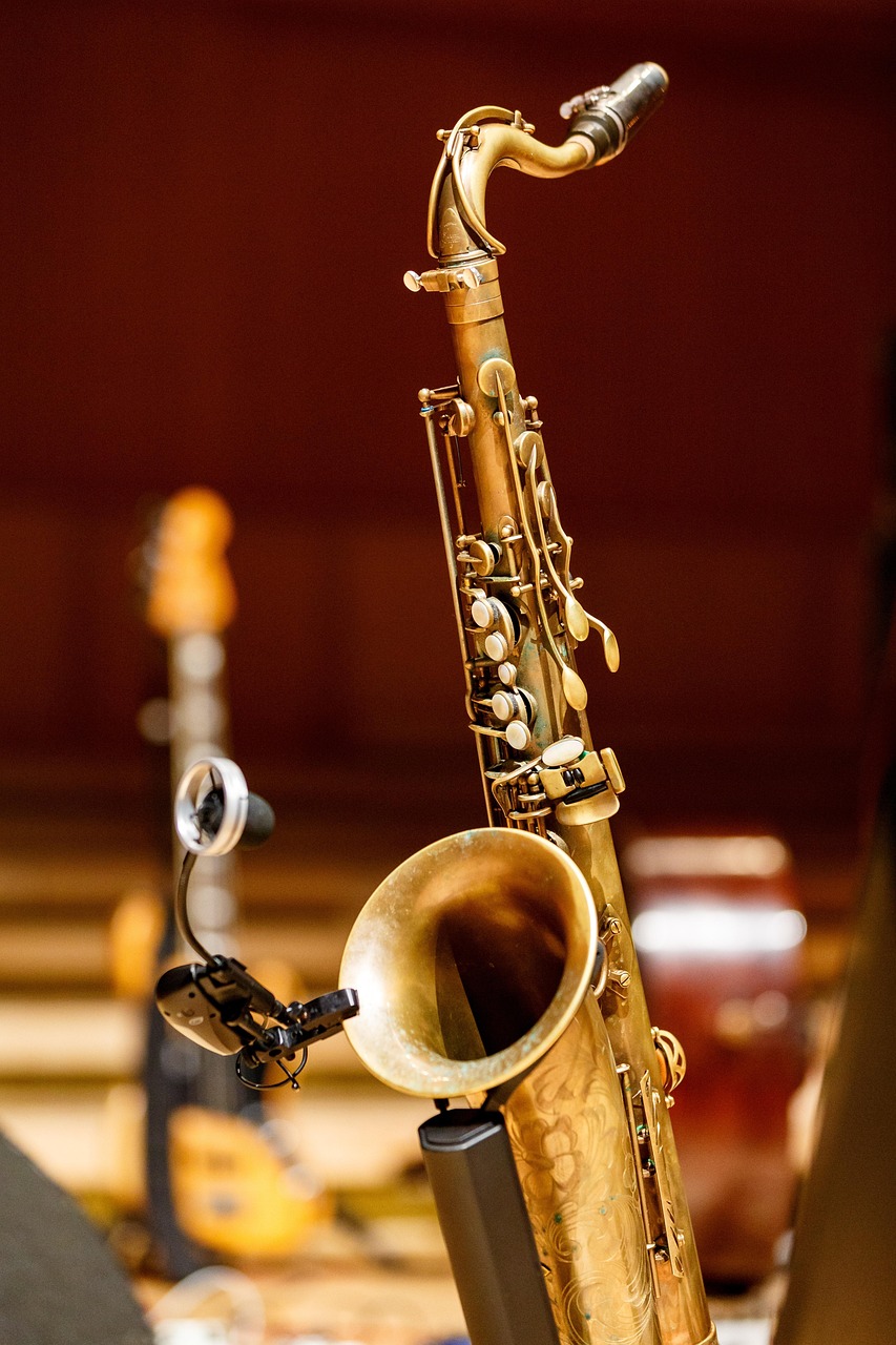 saxophone, sax, instrument, music, concert, musical instrument, jazz, jazz music, saxophone, saxophone, saxophone, saxophone, saxophone, sax, sax, sax