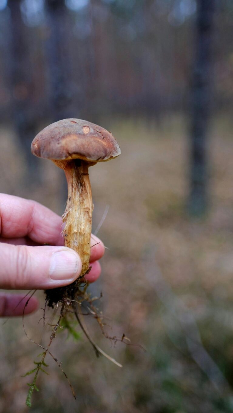 Instagram post from vierfelderhof.gatow. This post is in position 1.