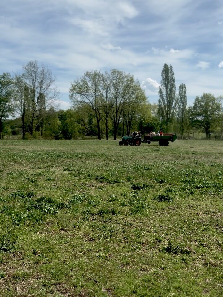 Instagram post from vierfelderhof.gatow. This post is in position 1.